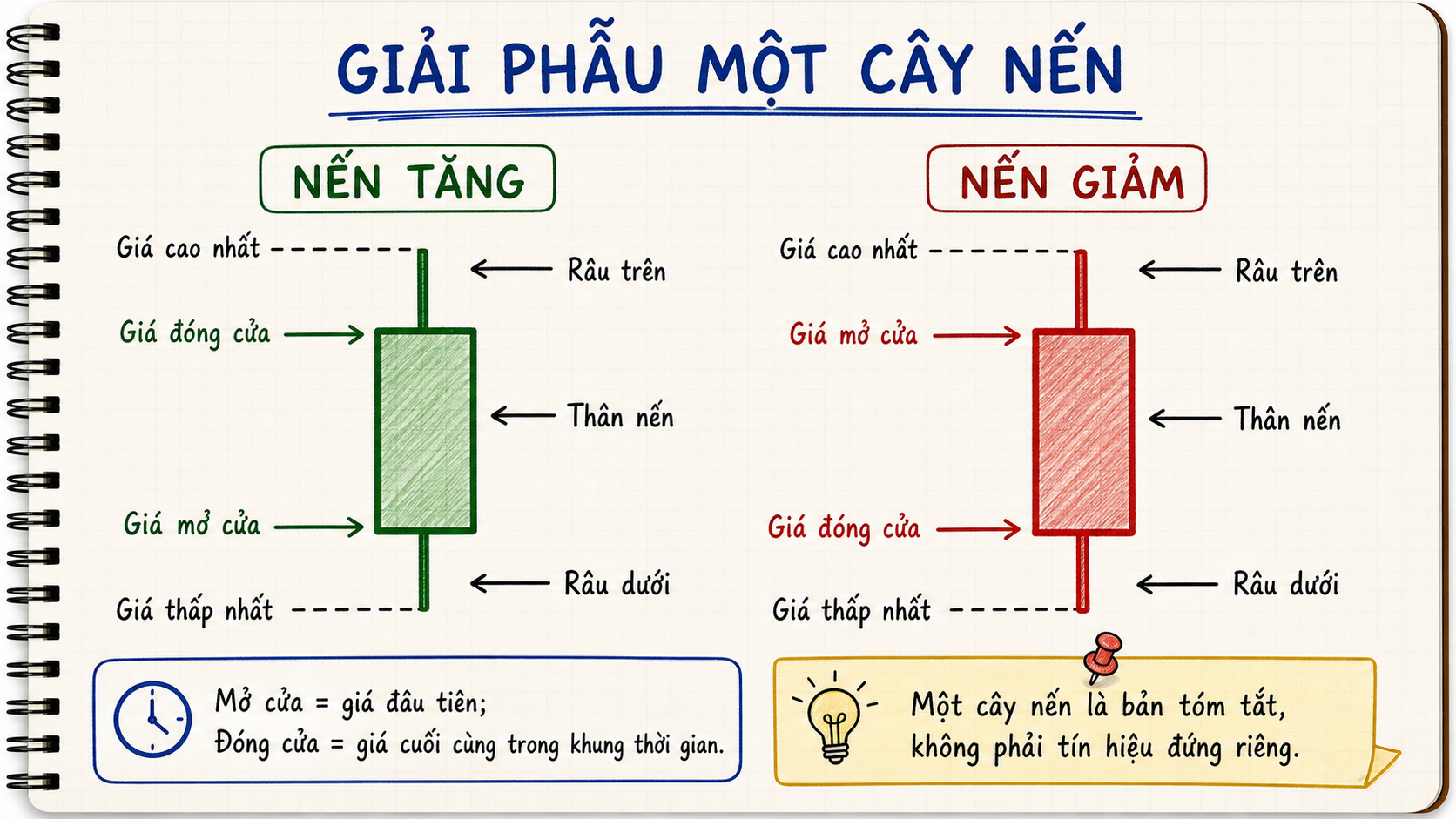 Hai cây nến tăng và giảm với giá mở cửa, đóng cửa, cao nhất, thấp nhất, thân và râu nến