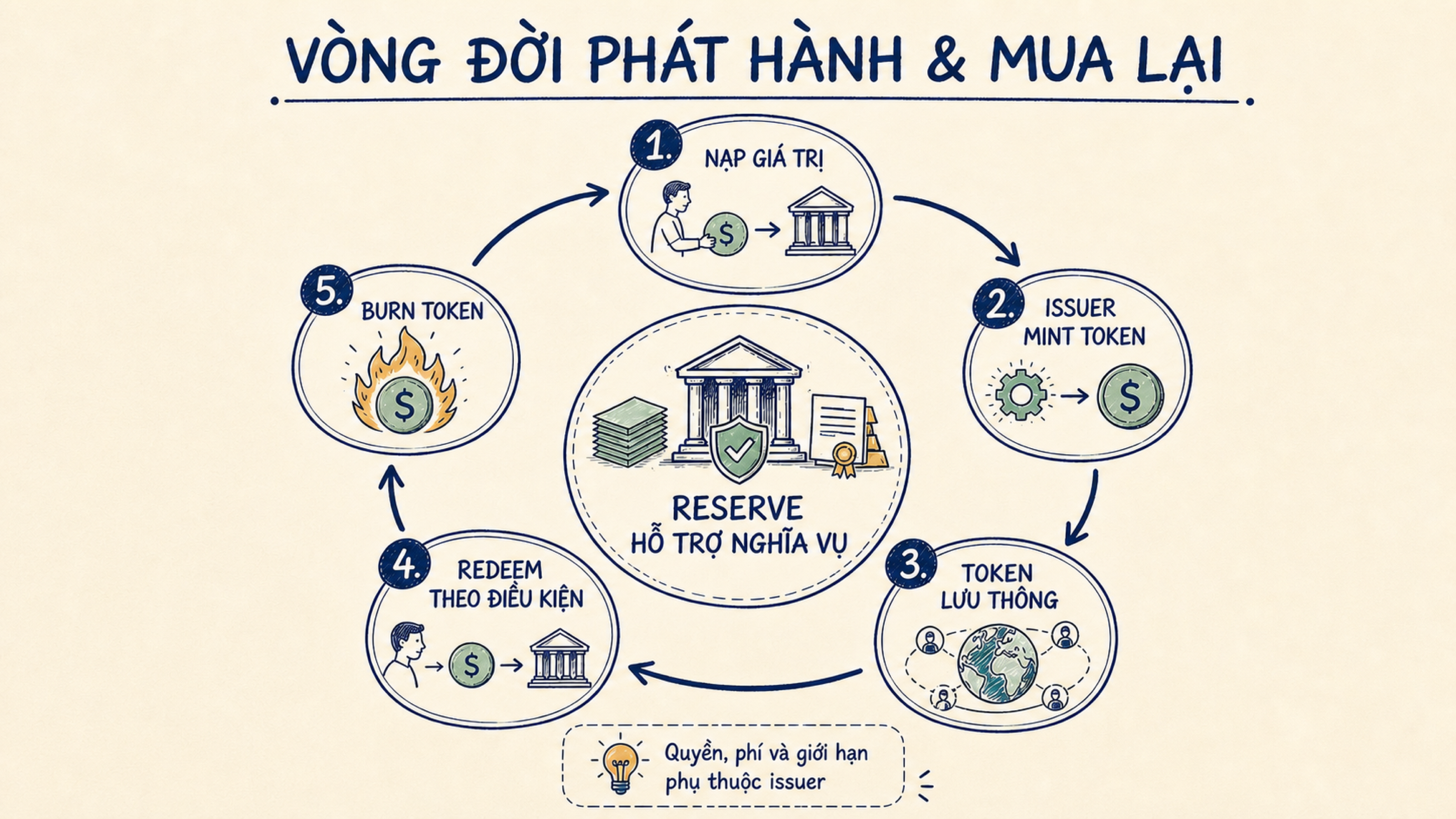 Vòng phát hành stablecoin gồm nạp giá trị, mint, lưu thông, redeem và burn